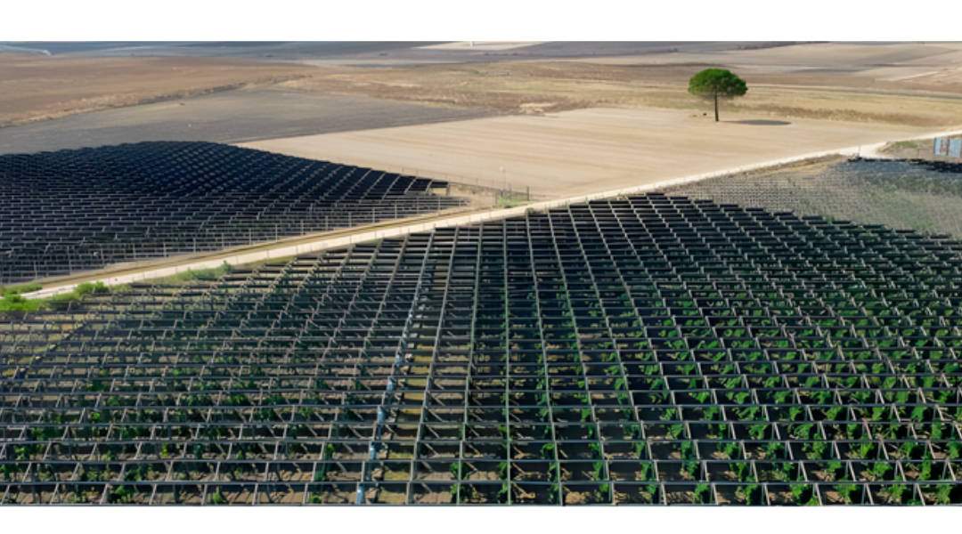 En este momento estás viendo Instalaciones fotovoltaicas en viñedos